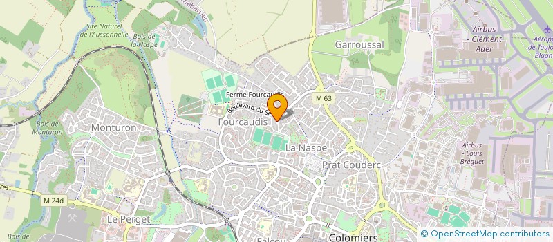 localisation de l'entreprise MONSIEUR AXEL COUTIN  COLOMIERS