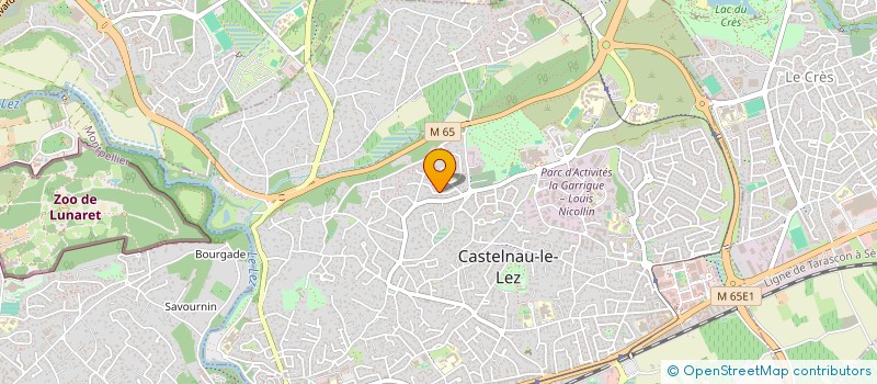 localisation de l'entreprise MONSIEUR AXEL DE PASQUALE à CASTELNAU-LE-LEZ