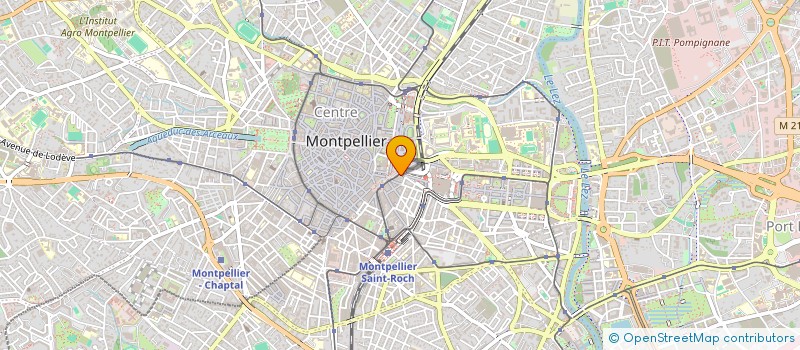 localisation de l'entreprise MONSIEUR AXEL DUCHE DE BRICOURT à MONTPELLIER