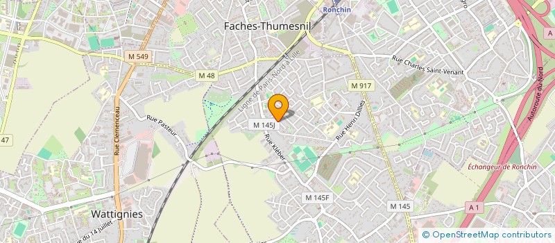 localisation de l'entreprise MONSIEUR AXEL DUMAS  FACHES-THUMESNIL