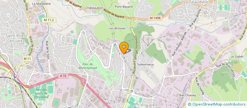 localisation de l'entreprise MONSIEUR AXEL ERDMANOWICZ  SAINT-ETIENNE