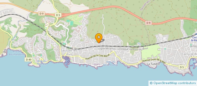 localisation de l'entreprise MONSIEUR AXEL FLEUROT  SAUSSET-LES-PINS