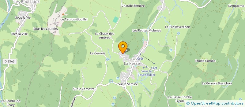 localisation de l'entreprise MONSIEUR AYACHE RAHMOUNI  LA PESSE