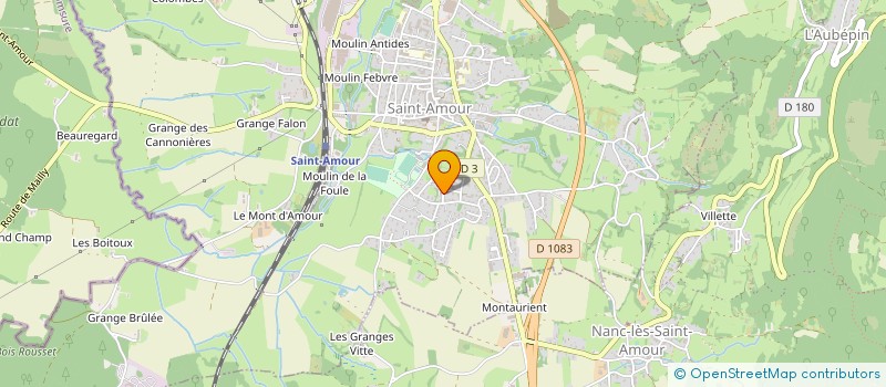 localisation de l'entreprise MONSIEUR AYHAN PEHLIVAN  SAINT-AMOUR