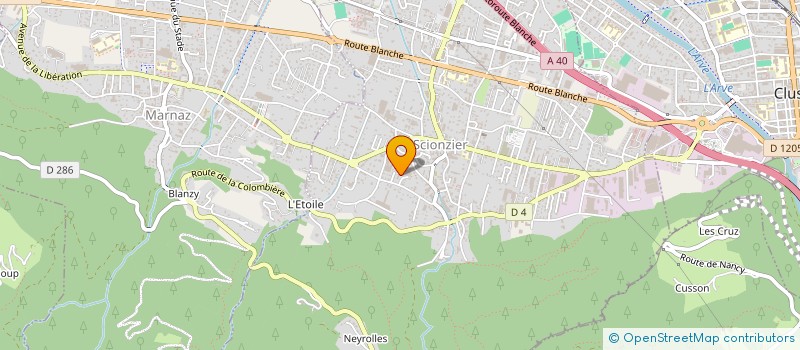 localisation de l'entreprise MONSIEUR AYMERIC PLE  SCIONZIER