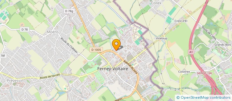 localisation de l'entreprise MONSIEUR AYOUB BENHMORRI à FERNEY-VOLTAIRE