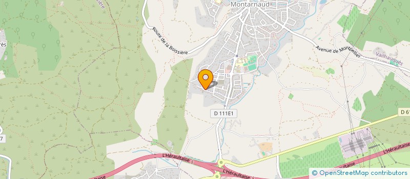 localisation de l'entreprise MONSIEUR AYOUB BENLAKHAL  MONTARNAUD