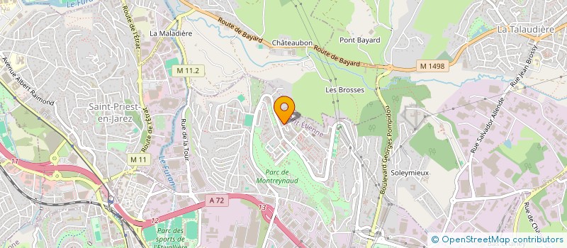 localisation de l'entreprise MONSIEUR AYOUBE OUADFEL  SAINT-ETIENNE