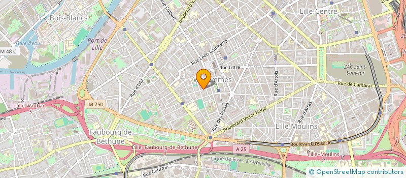 localisation de l'entreprise MONSIEUR AZDINE AIT AMERE à LILLE