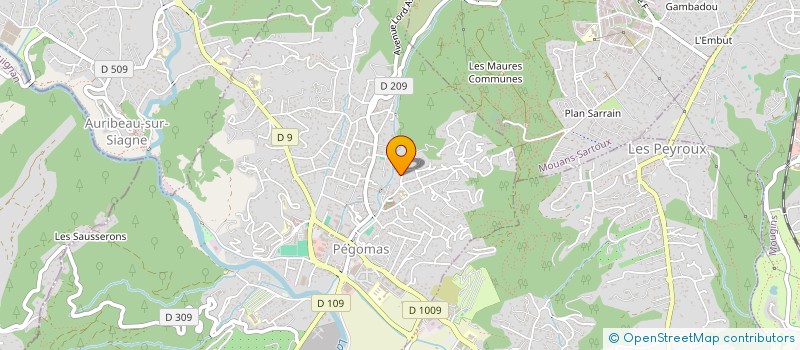 localisation de l'entreprise MONSIEUR AZDINE BOUZETIT  PEGOMAS