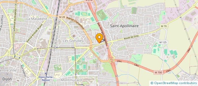 localisation de l'entreprise MONSIEUR AZIZ DYANI  DIJON