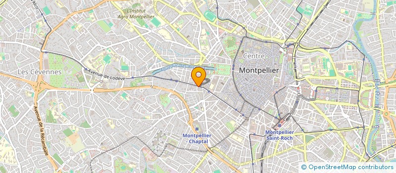 localisation de l'entreprise MONSIEUR AZIZ NASARY à MONTPELLIER