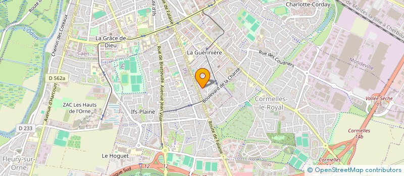 localisation de l'entreprise MONSIEUR AZMIN RIZVO à CAEN
