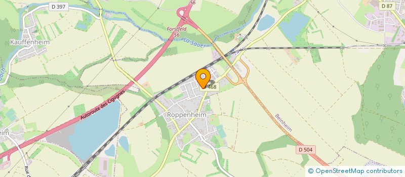 localisation de l'entreprise MONSIEUR BADREDDINE EL MDINI  ROPPENHEIM