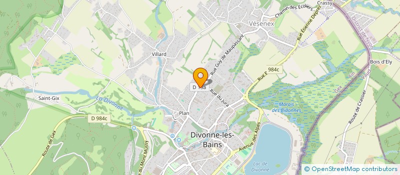 localisation de l'entreprise MONSIEUR BALI JUTT  DIVONNE-LES-BAINS