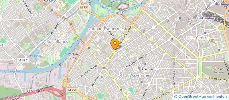 localisation de l'entreprise MONSIEUR BALTHAZAR DEMARTY  LILLE