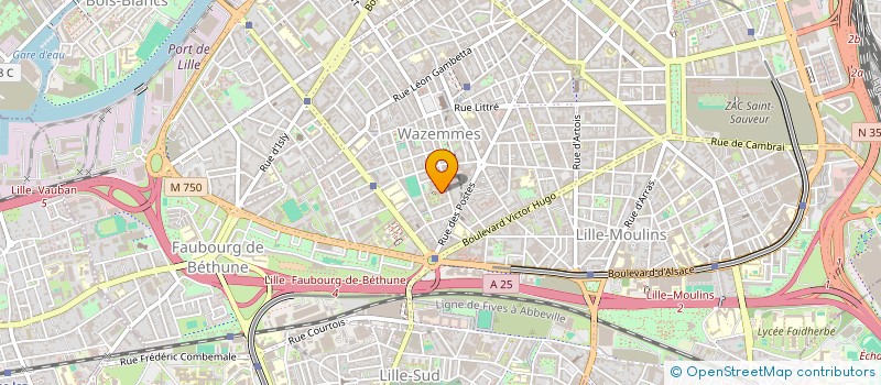 localisation de l'entreprise MONSIEUR BAMBO DIABY  LILLE