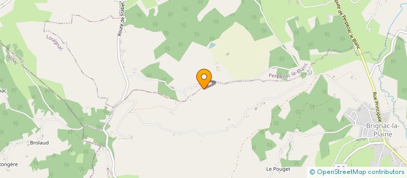 localisation de l'entreprise MONSIEUR BAPTISTE CHAMINADE  BRIGNAC-LA-PLAINE