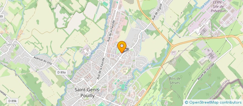 localisation de l'entreprise MONSIEUR BAPTISTE DAMBONVILLE à SAINT-GENIS-POUILLY