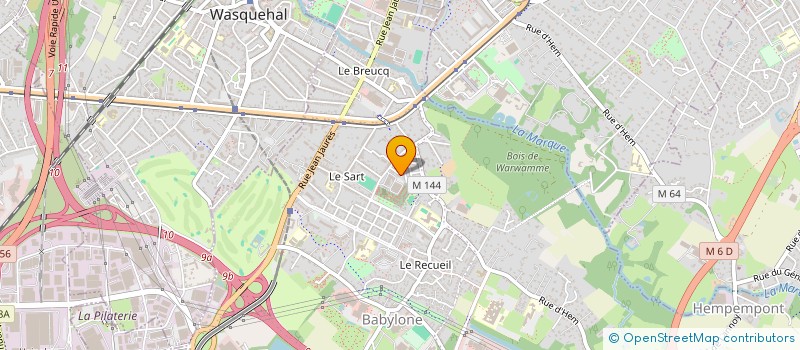 localisation de l'entreprise MONSIEUR BAPTISTE MAI THANH  VILLENEUVE-D'ASCQ