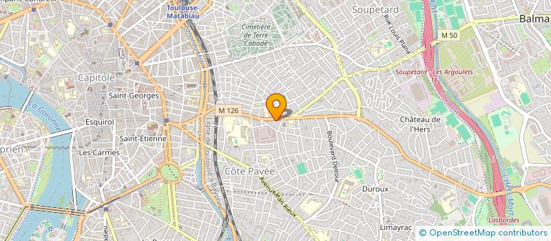 localisation de l'entreprise MONSIEUR BARTHELEMY DE CASTLELBAJAC  TOULOUSE