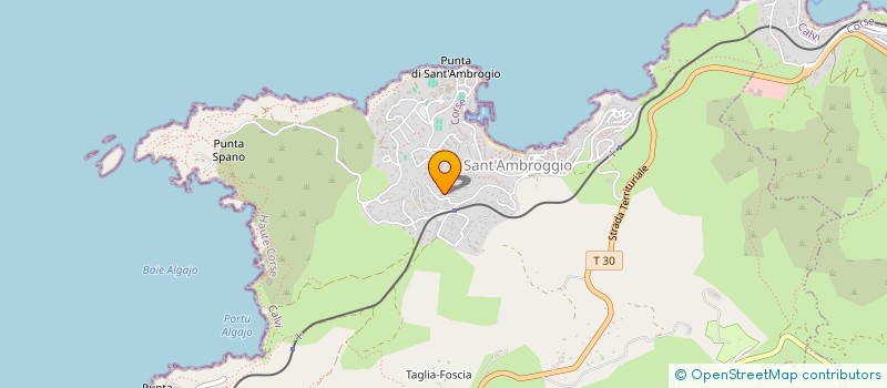 localisation de l'entreprise MONSIEUR BARTOSZ HAJKOWSKI à LUMIO