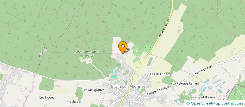 localisation de l'entreprise MONSIEUR BASILE HAUDOIN à BRAIN-SUR-ALLONNES