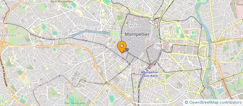 localisation de l'entreprise MONSIEUR BASILE LE GALL à MONTPELLIER