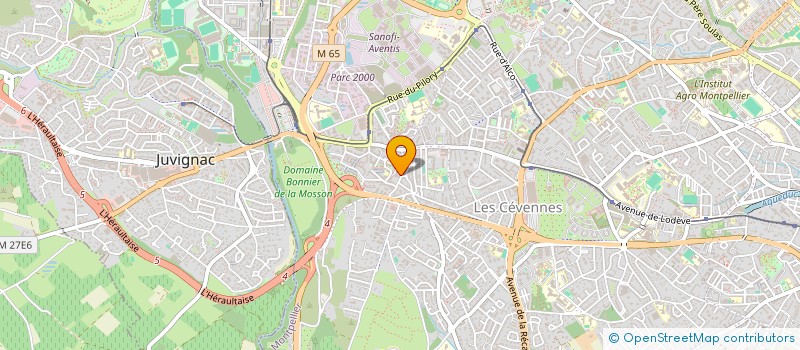 localisation de l'entreprise MONSIEUR BASILE WEIL à MONTPELLIER