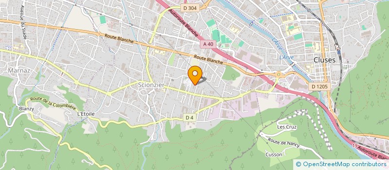 localisation de l'entreprise MONSIEUR BASSAM JAWAD  SCIONZIER