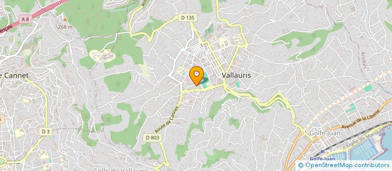 localisation de l'entreprise MONSIEUR BASTIEN AUBRON à VALLAURIS