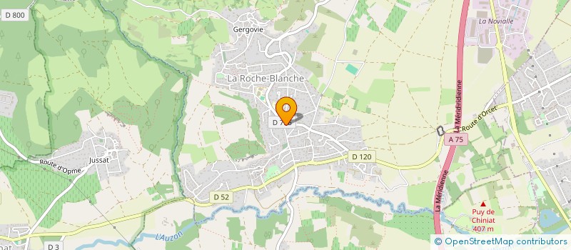 localisation de l'entreprise MONSIEUR BASTIEN COUGOUL  LA ROCHE-BLANCHE