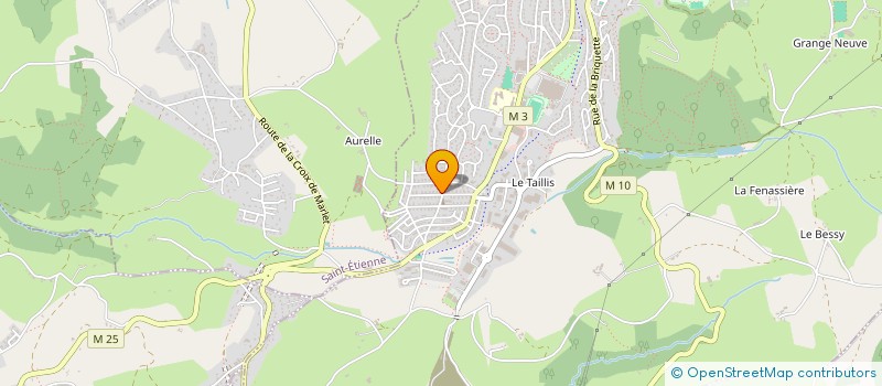 localisation de l'entreprise MONSIEUR BAYRAM CETINEL  ROCHE-LA-MOLIERE