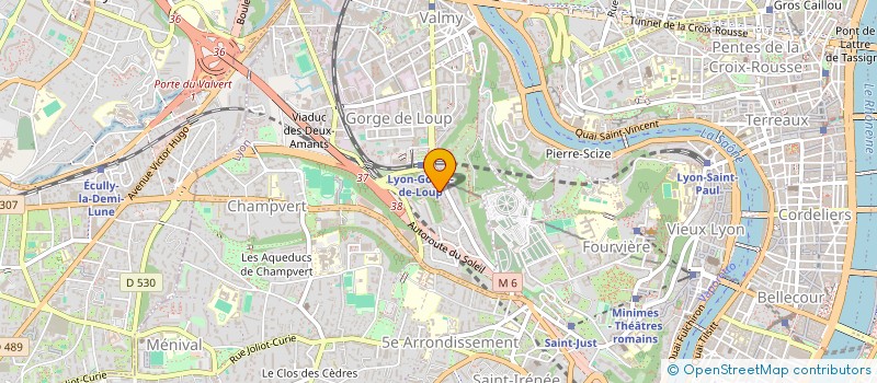 localisation de l'entreprise MONSIEUR BELLOV OBO à LYON