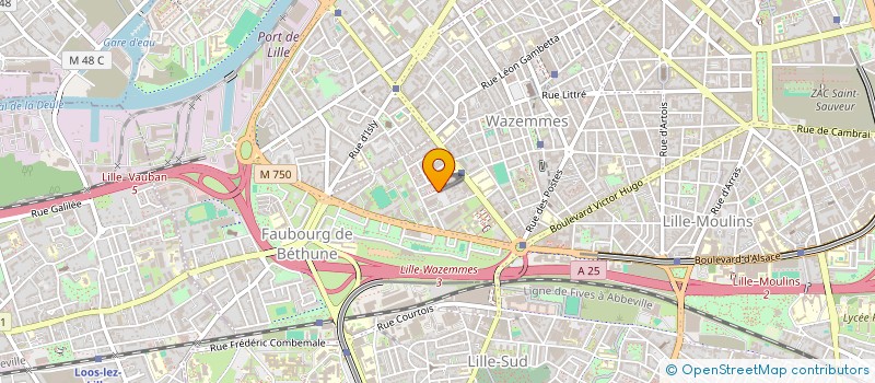 localisation de l'entreprise MONSIEUR BEN BEN MOHAMED à LILLE