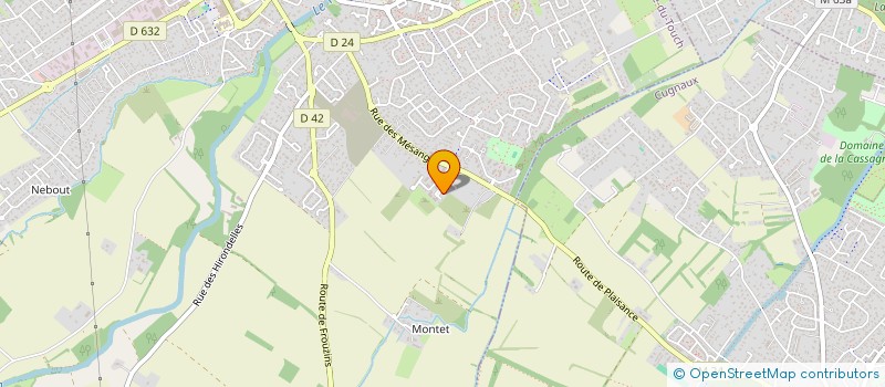 localisation de l'entreprise MONSIEUR BEN NAWAL  PLAISANCE-DU-TOUCH