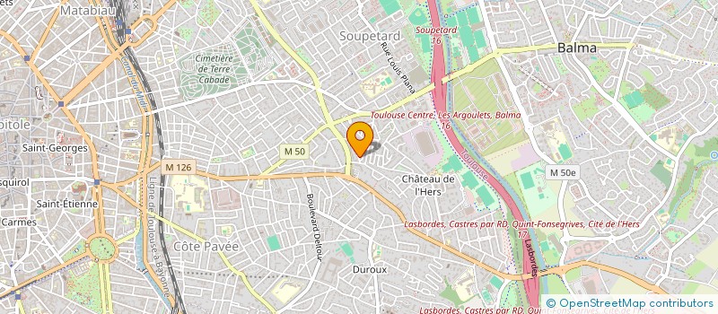 localisation de l'entreprise MONSIEUR BENALI HANIFI à TOULOUSE