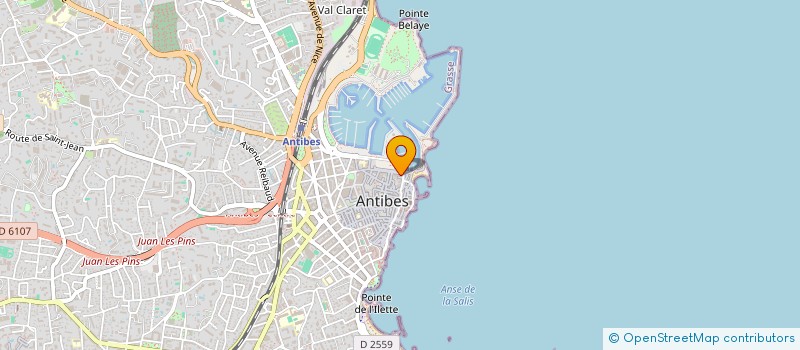 localisation de l'entreprise MONSIEUR BENEDICT NICHOLSON  ANTIBES