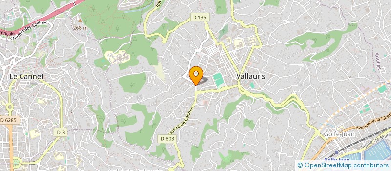 localisation de l'entreprise MONSIEUR BENIAMIN BEGU  VALLAURIS