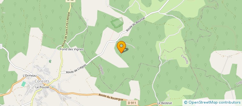 localisation de l'entreprise MONSIEUR BENJAMIN ADOLPHE  SAULIAC-SUR-CELE