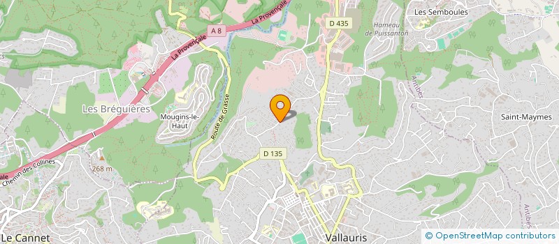 localisation de l'entreprise MONSIEUR BENJAMIN BOURDET  VALLAURIS