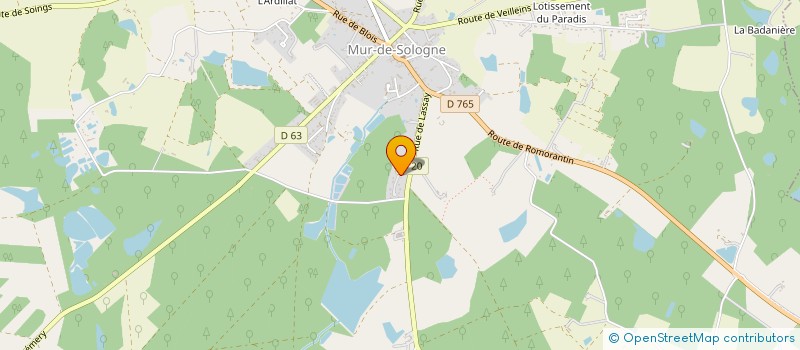 localisation de l'entreprise MONSIEUR BENJAMIN BOURDILLON à MUR-DE-SOLOGNE