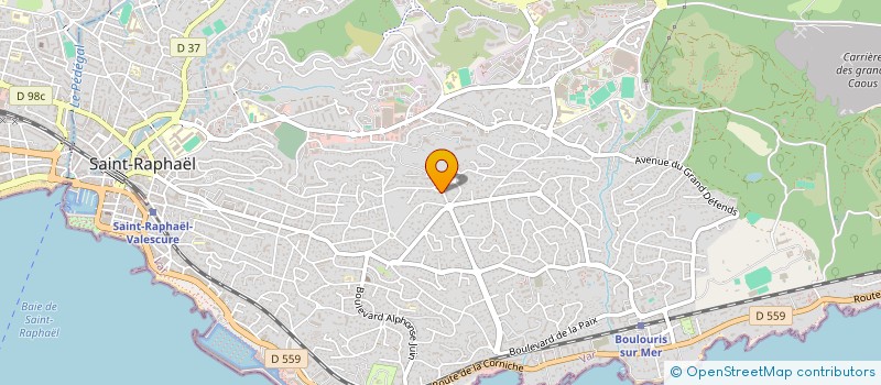 localisation de l'entreprise MONSIEUR BENJAMIN BRAUX  SAINT-RAPHAEL