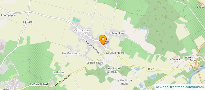 localisation de l'entreprise MONSIEUR BENJAMIN BUISSON  VAUDELNAY