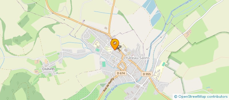 localisation de l'entreprise MONSIEUR BENJAMIN CERVELLE  CHATEAU-SALINS