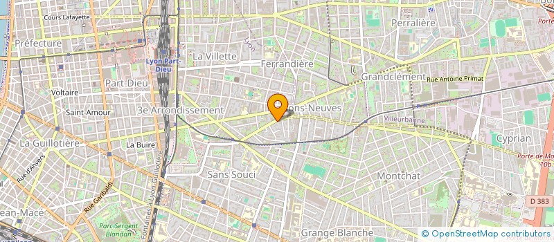 localisation de l'entreprise MONSIEUR BENJAMIN DEMEYER  LYON