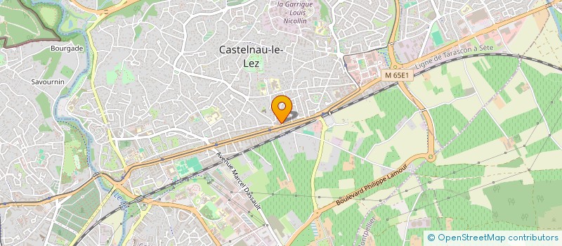localisation de l'entreprise MONSIEUR BENJAMIN EIMBERK à CASTELNAU-LE-LEZ