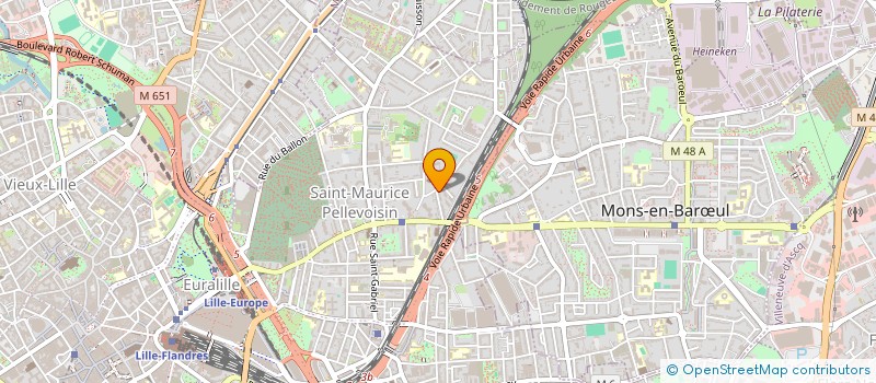 localisation de l'entreprise MONSIEUR BENJAMIN FLIGANS à LILLE