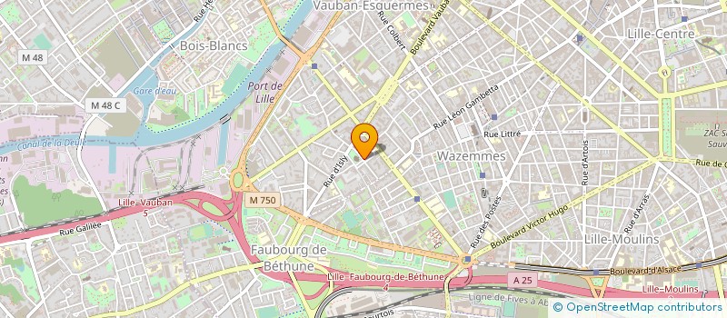 localisation de l'entreprise MONSIEUR BENJAMIN FREDERIC HEYNDRICKX à LILLE