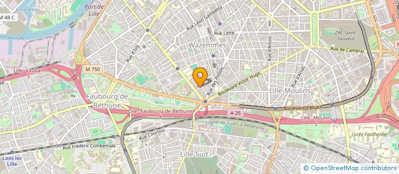 localisation de l'entreprise MONSIEUR BENJAMIN GALLET à LILLE